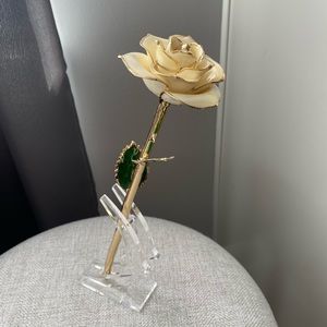 24K Gold Dipped Rose from Dose of Roses